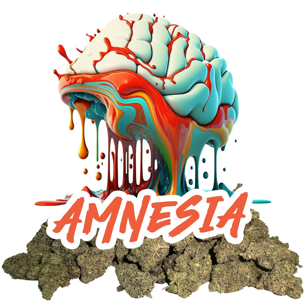 Amnesia Cannabis Strain - Weed Delivery - ogth