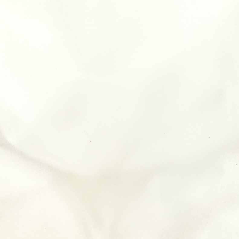 Sugar Cane Deluxe logo