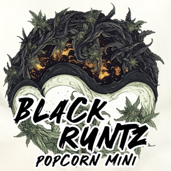 Black Runtz ( Popcorn Mini ) logo