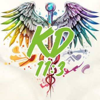 KD 11:3  logo