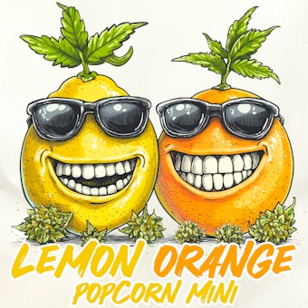 Lemon Orange ( Popcorn Mini ) logo