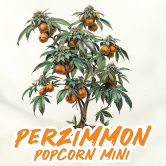 Perzimmon ( Popcorn Mini ) logo
