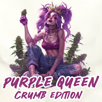 Purple Queen ( Crumb ) logo