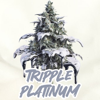 Tripple Platinum logo