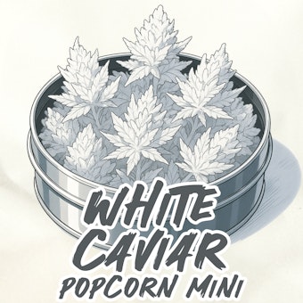 White Caviar ( Popcorn Mini ) logo