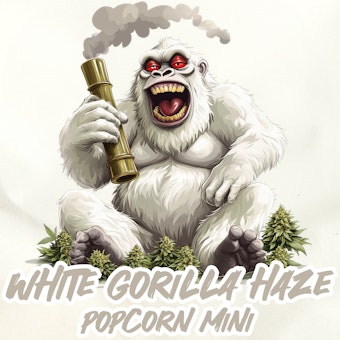 White Gorilla Haze ( Popcorn Mini ) logo