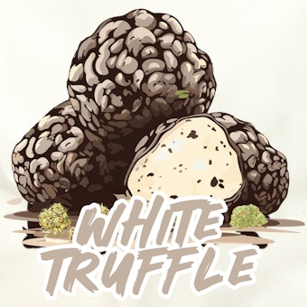 White Truffle logo
