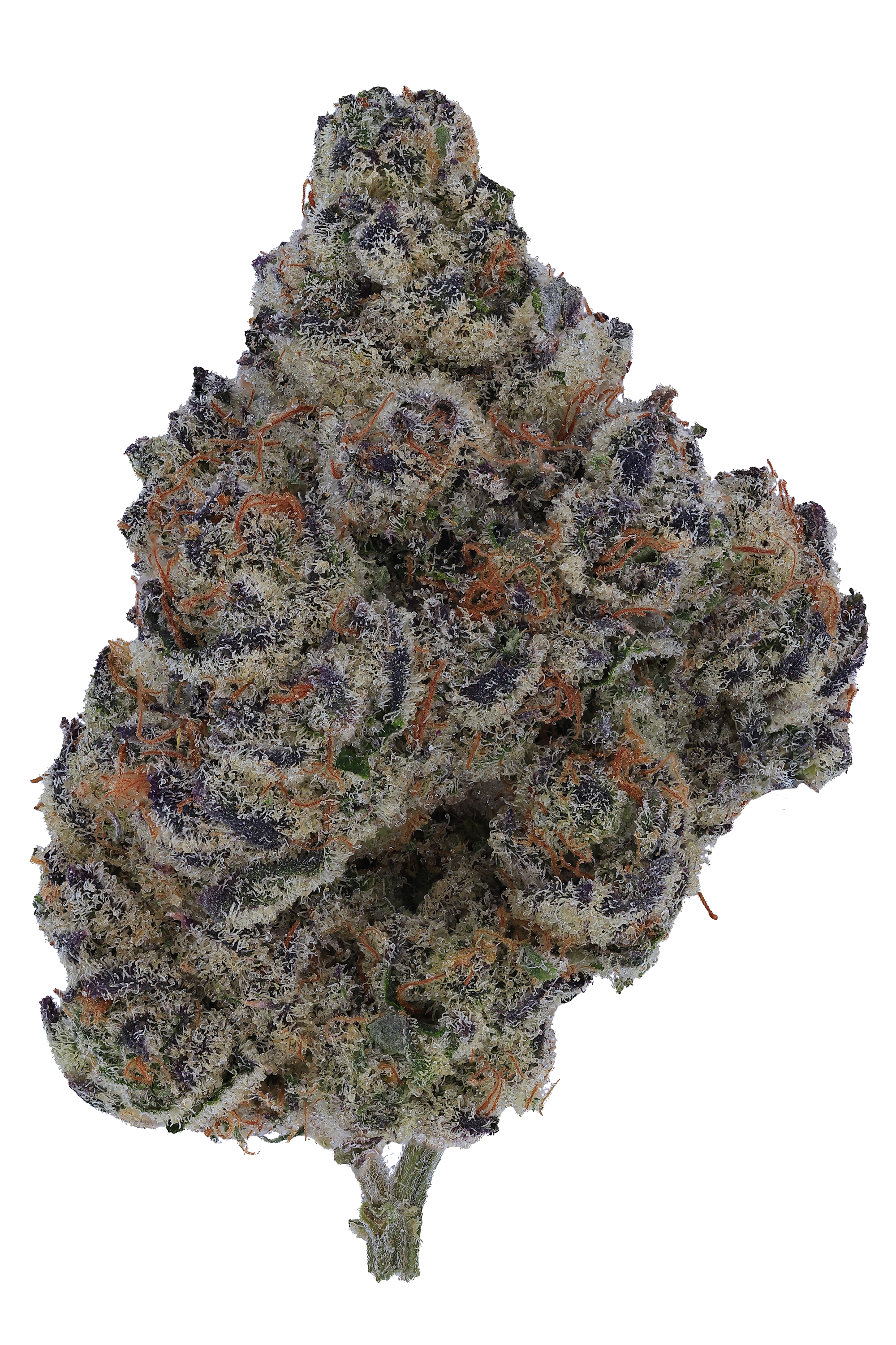 Medicinal Cannabis Bangkok Weed Delivery Thailand Weed Delivery