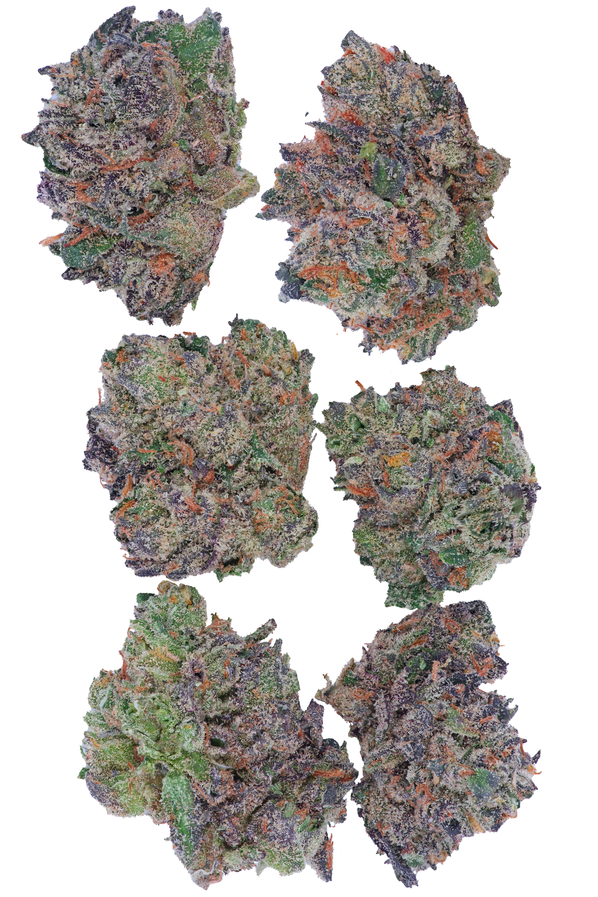 Devils Cherry ( Popcorn Mini )