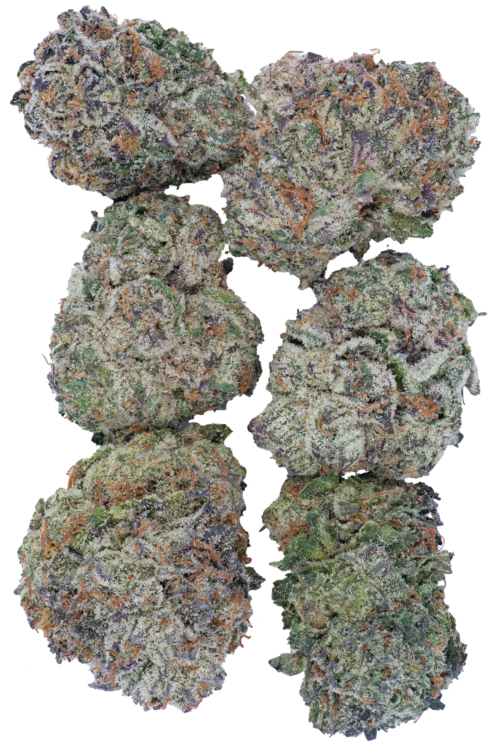 Funky ( Popcorn Mini )
