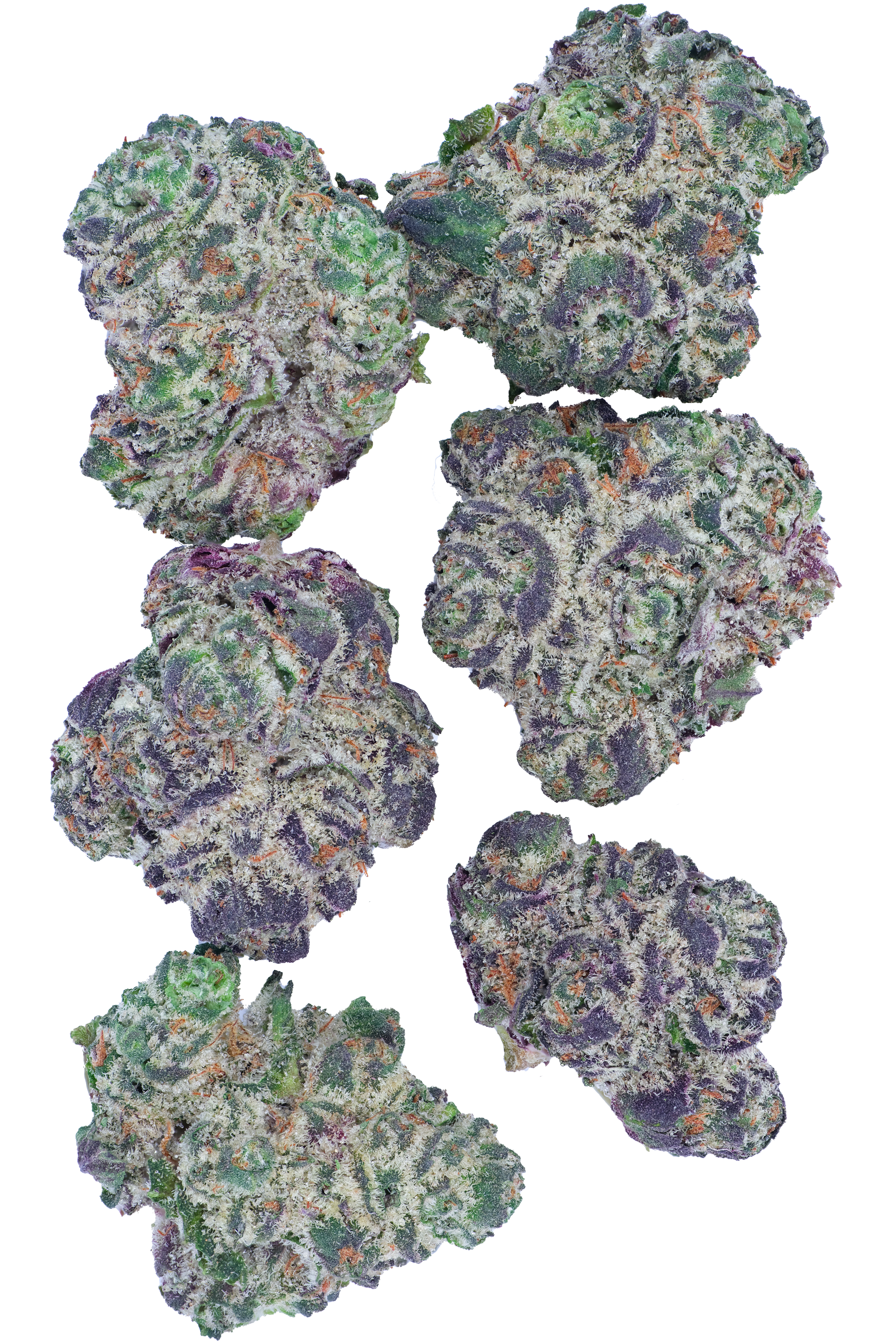 Garlic Grove ( Popcorn Mini )