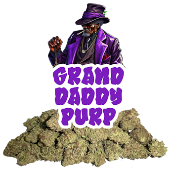 Grand Daddy Purple Cannabis Strain - Weed Delivery - ogth