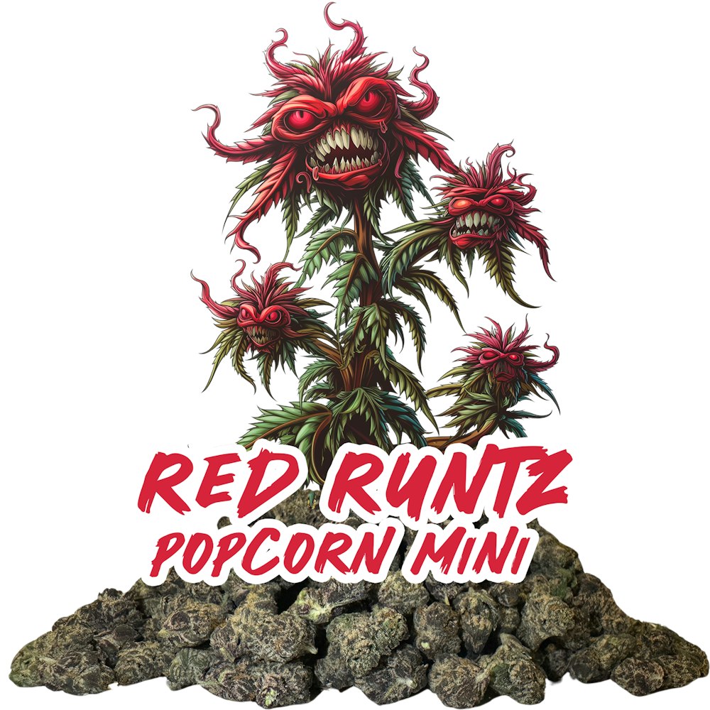 Red Runtz ( Popcorn Mini )大麻株 - 雑草の配達 - ogth