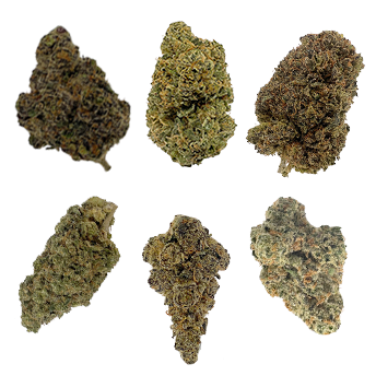 Sampler #5 (6 Strains) - OG Thai - Online Cannabis Dispensary