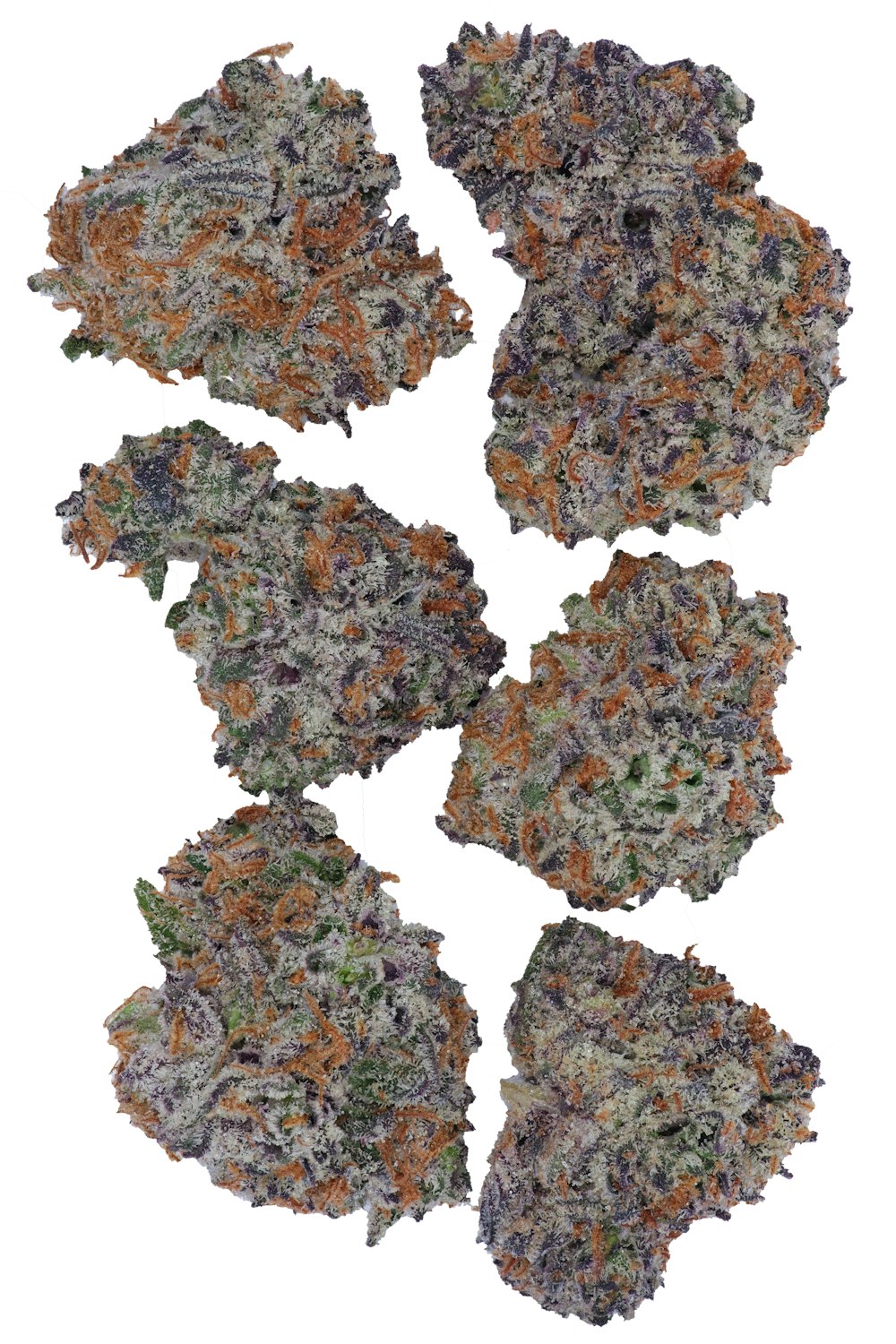 White Truffle ( Popcorn Mini )