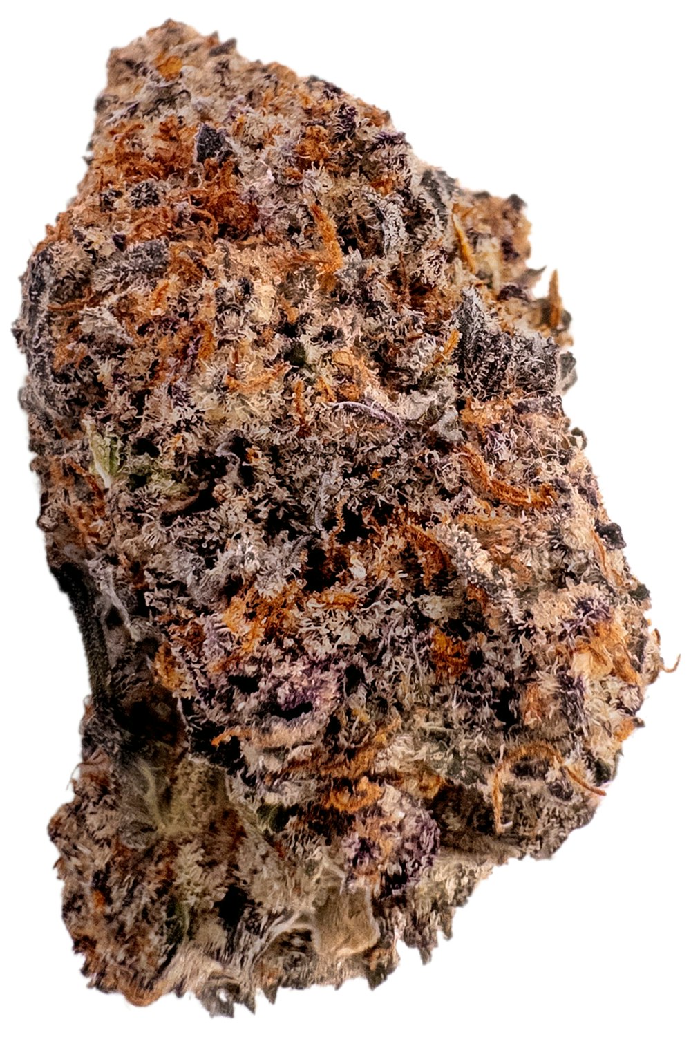 White Truffle